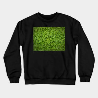green pasture texture Crewneck Sweatshirt